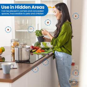 SEEKDIT bait application on concealed areas for better control.