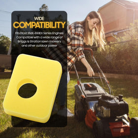 Seentech compatibility across 08P500 to 09P700 engines for versatile lawn care