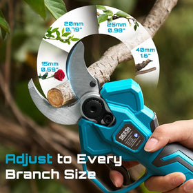 SEESII pruning shears SK5 blades with spare blade included