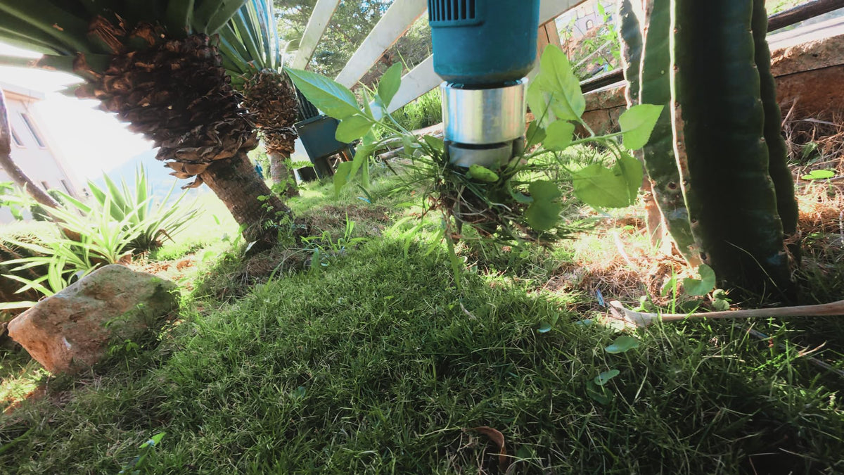 Seesii stand-up weeding reduces bending and back strain.