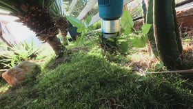 Seesii stand-up weeding reduces bending and back strain.