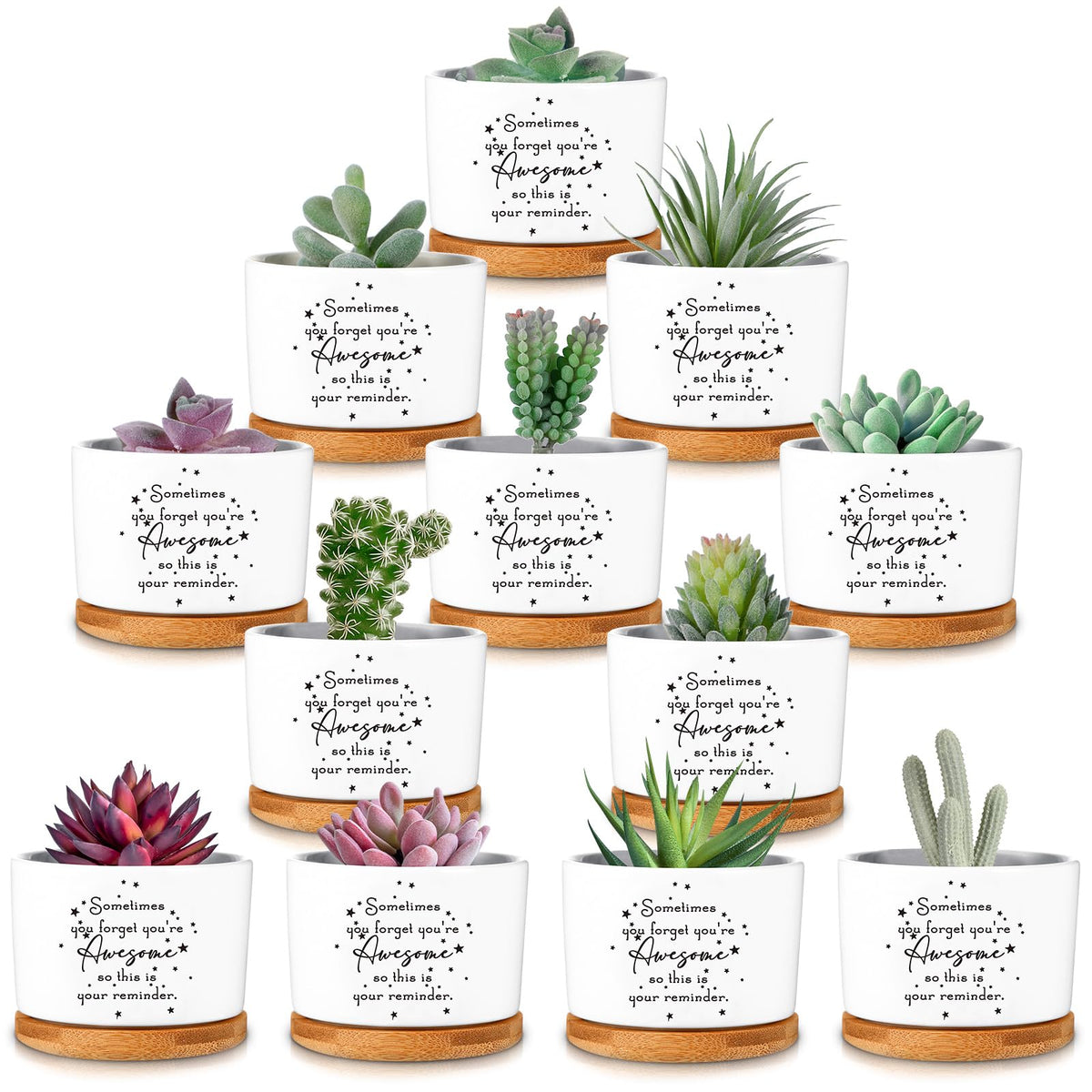 SEEWEY 12-pack inspirational succulent pots for desk décor and gifting.