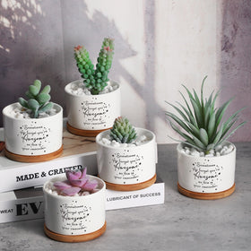SEEWEY ceramic pot dimensions and design for easy plant upgrades.