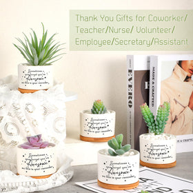 SEEWEY office decor setup with succulent pots for bright workspaces.
