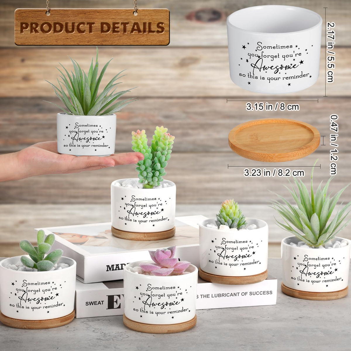 SEEWEY succulent pots with bamboo trays close-up highlighting sturdy bases.