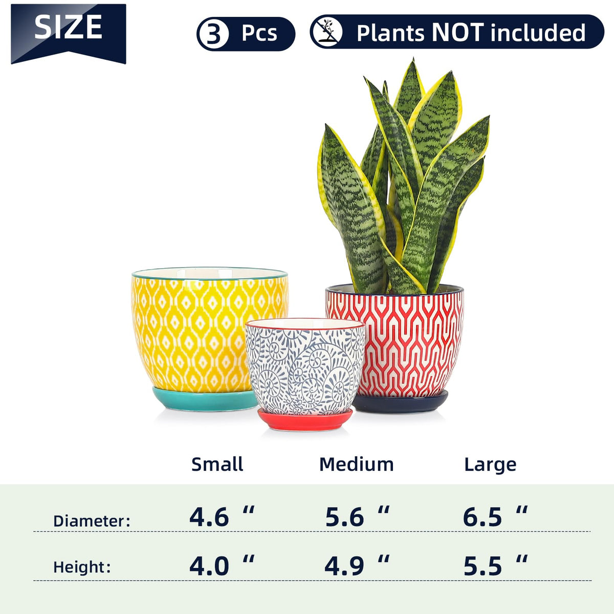 Selamica 4.6-inch ceramic pot highlighting color and compact space savings