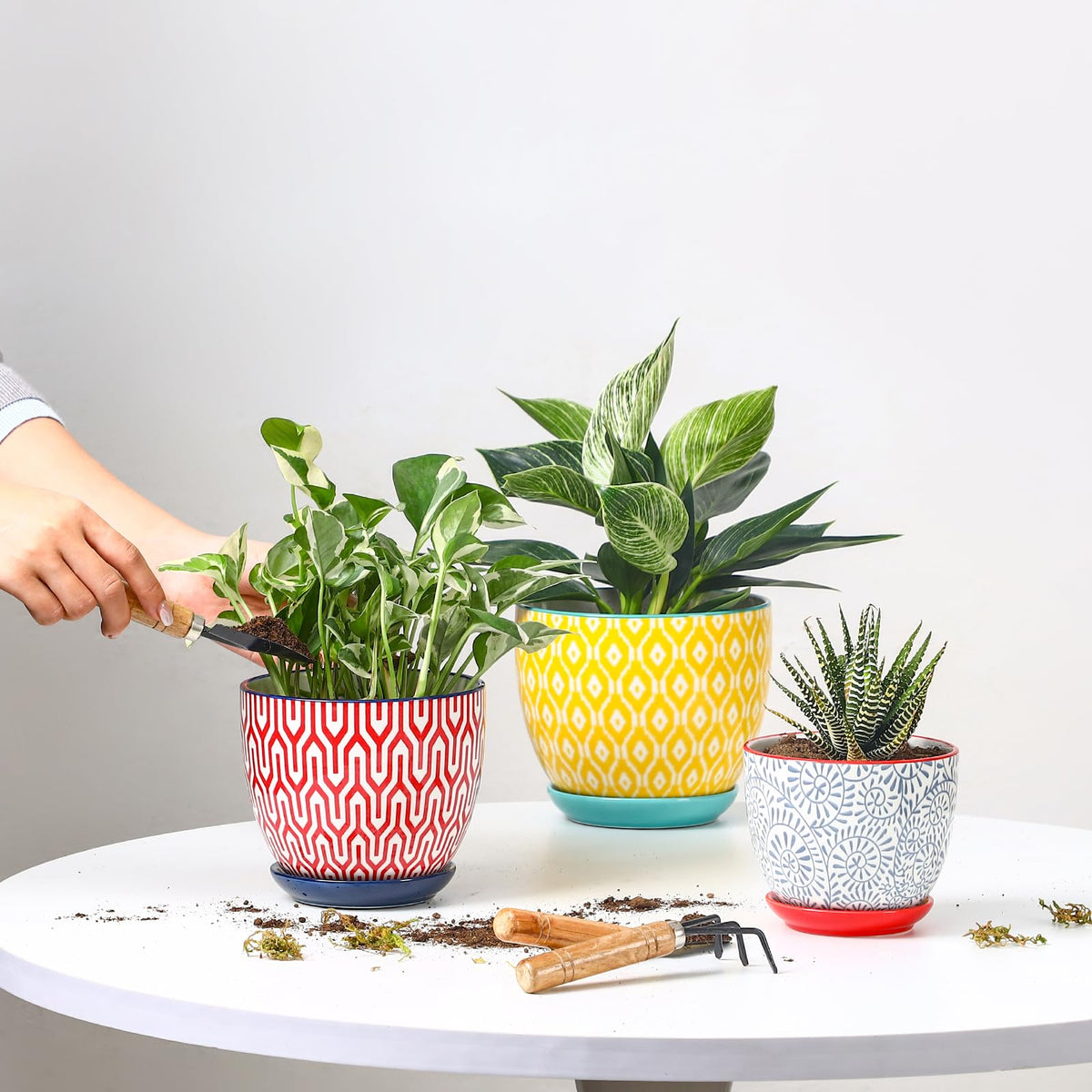 Selamica ceramic pot 5.6-inch pot with vibrant glaze for stylish indoor display