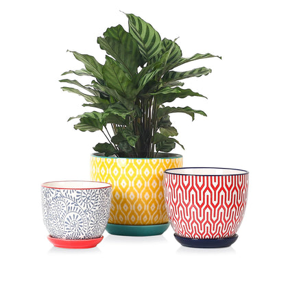 Selamica ceramic pot 6.5-inch with drainage hole for healthy root growth