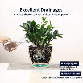 Selamica versatile plant pot set enhances home decor and plant displays
