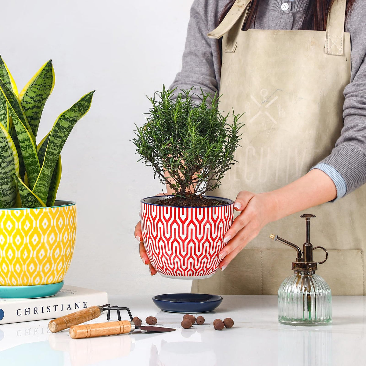Selamica modern pattern pot adds contemporary charm to any room