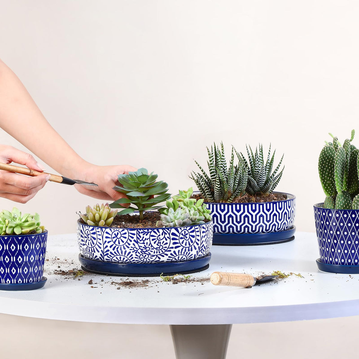 Selamica ceramic saucer with mesh pad keeps soil contained