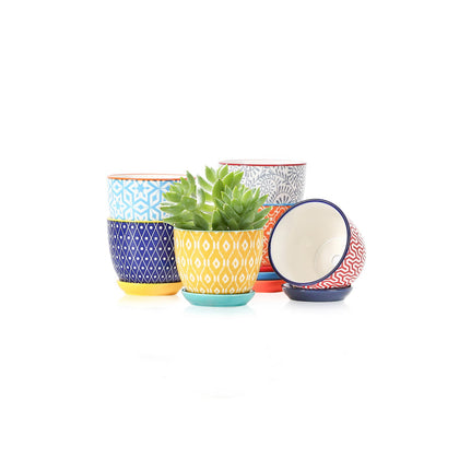 Selamica ceramic succulent pot with drainage hole supports healthy root watering.