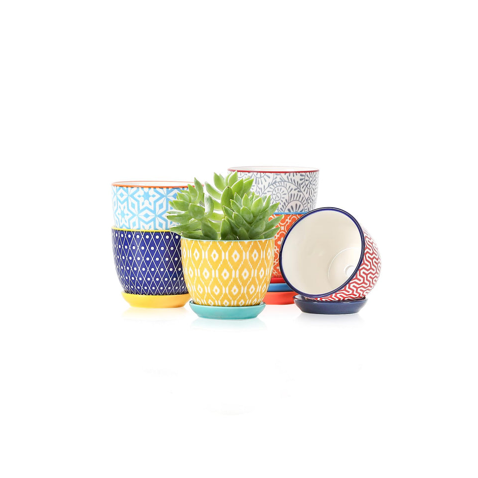 Selamica ceramic succulent pot with drainage hole supports healthy root watering.