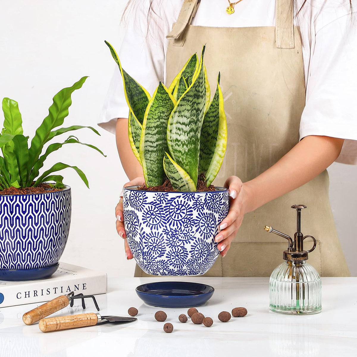 Selamica ceramic pot with detachable saucer for easy cleaning.