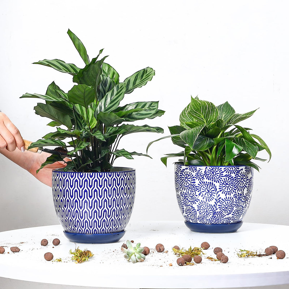 Selamica two-pack plant pots with saucers for clean surfaces and easy maintenance.