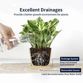 Selamica gift-ready ceramic pots for plant lovers.