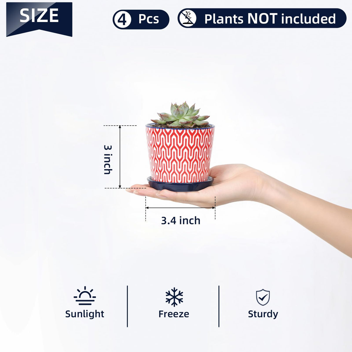 Selamica modern succulent pot enhances indoor decor with vibrant color.