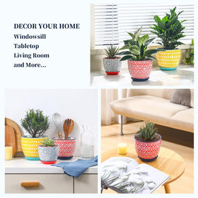 Selamica ceramic pot with mesh pad keeps soil in place while watering