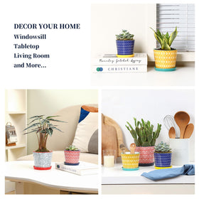 Selamica 4-pack plant pots set suitable for succulents and herbs.