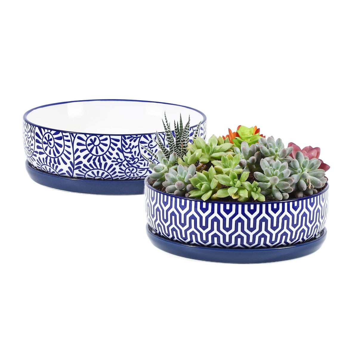 Selamica 8-inch succulent pot with drainage hole for healthy roots