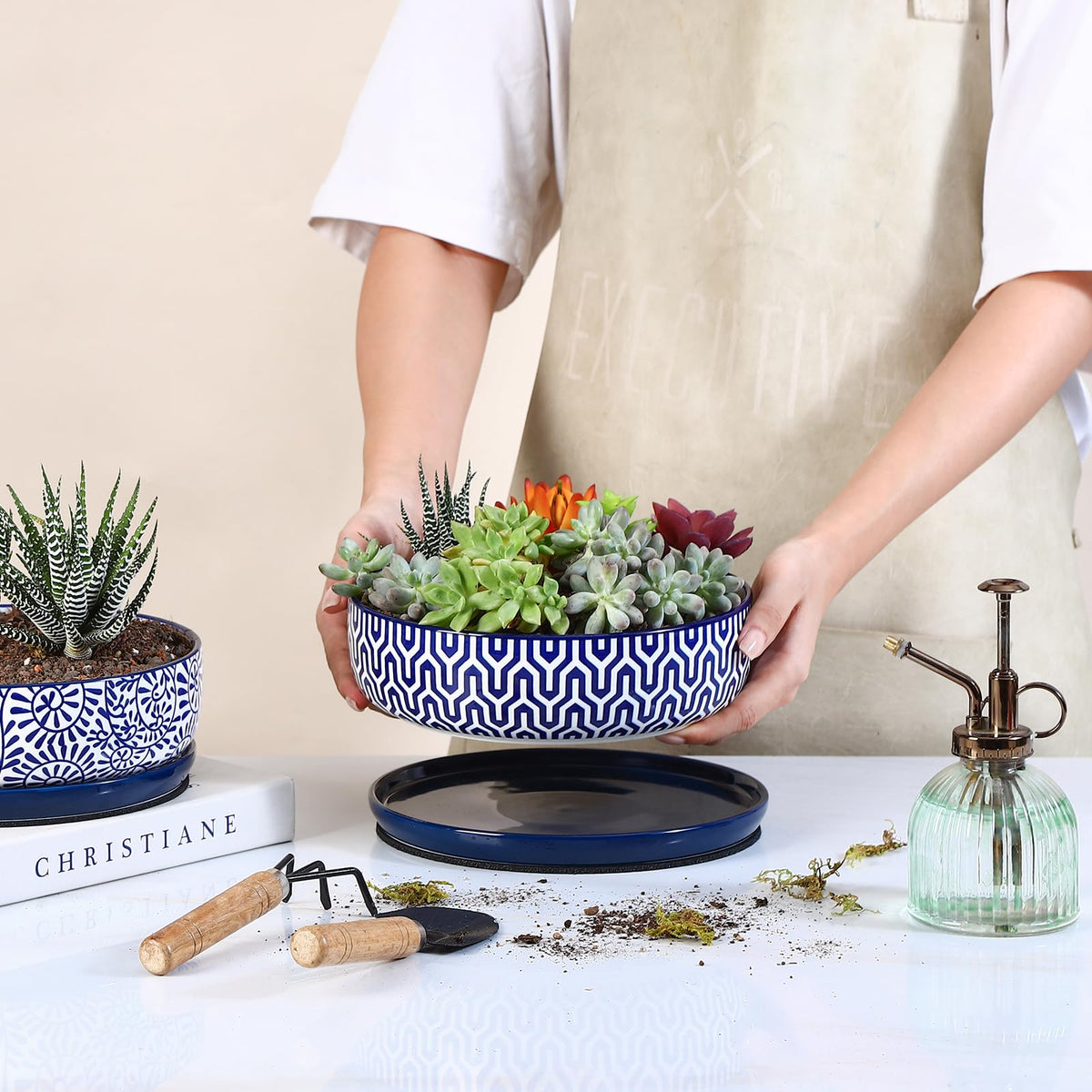 Selamica shallow pot with drainage and saucer for easy cleanup