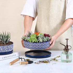 Selamica shallow pot with drainage and saucer for easy cleanup