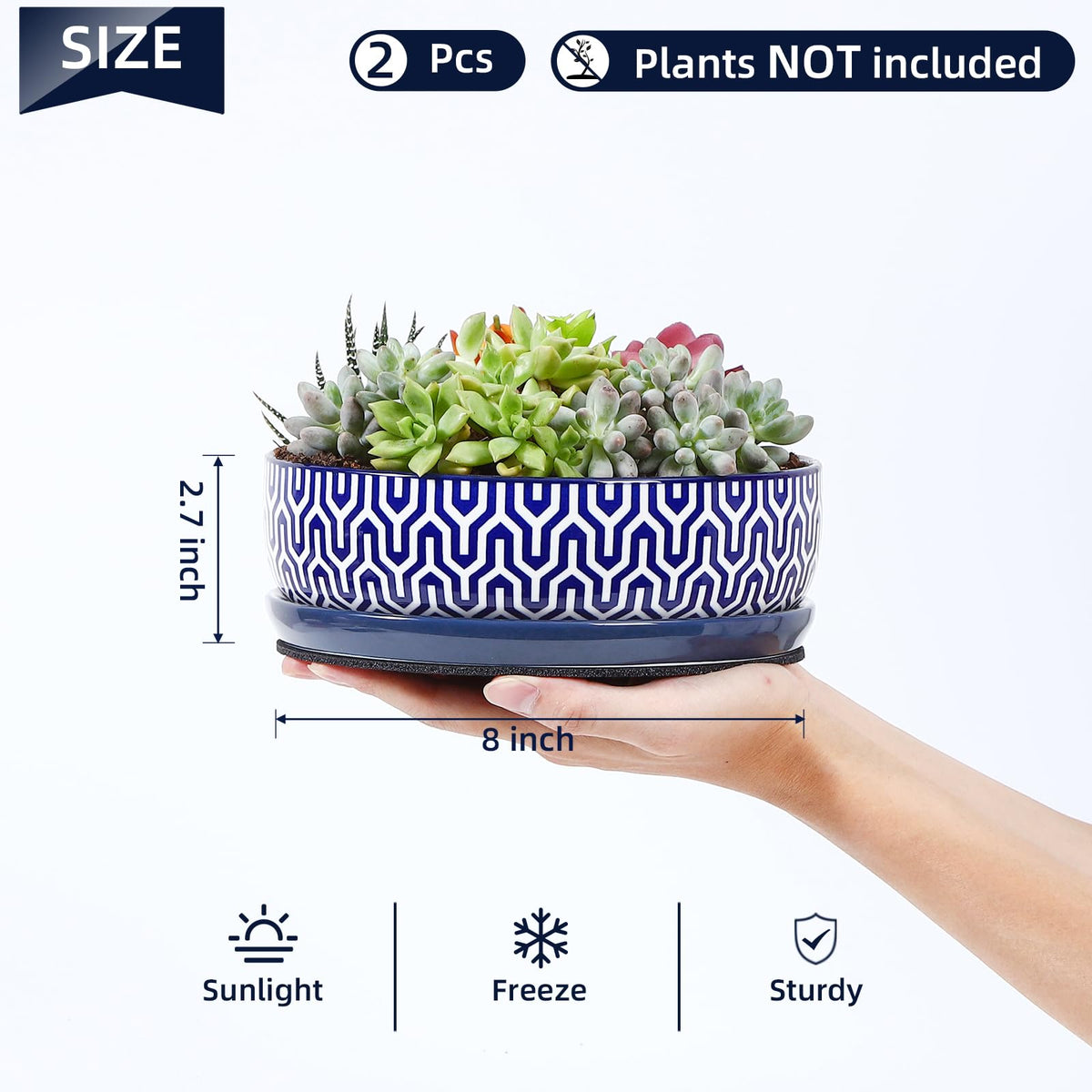 Selamica succulent pot with vintage blue glaze adds decor flair