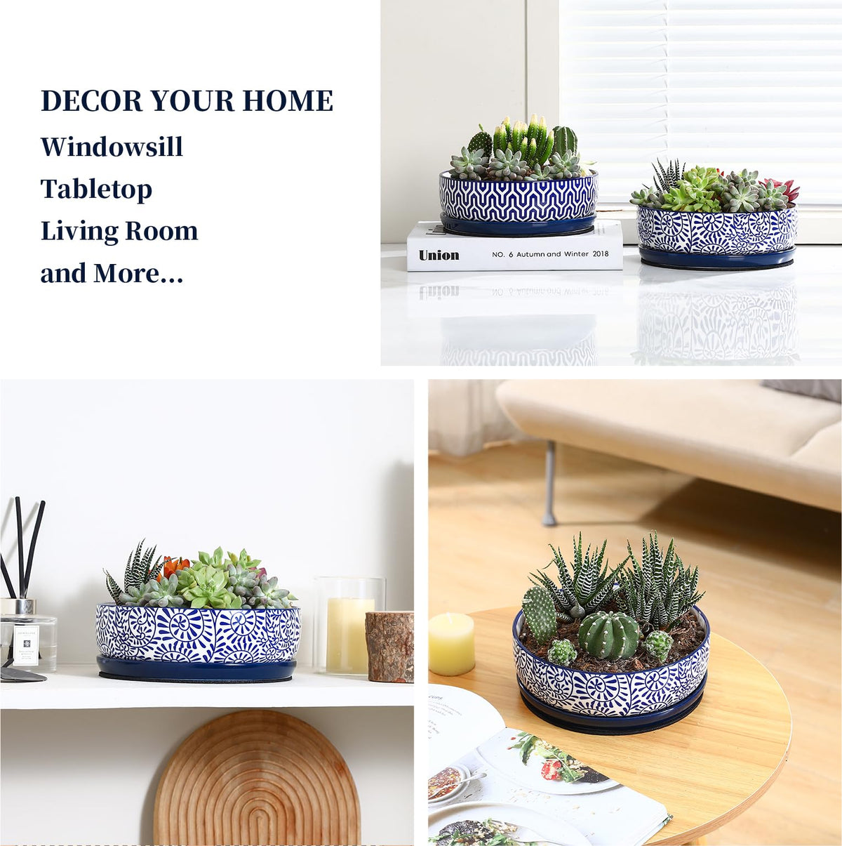 Selamica succulent pot on a sunny windowsill for display