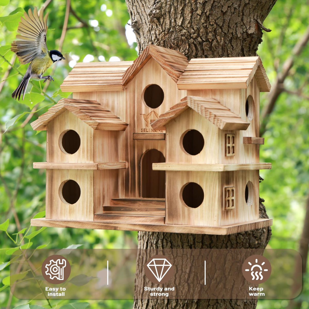 SELENAIRE bird house entrance 1.2 inches; invites suitable songbirds.