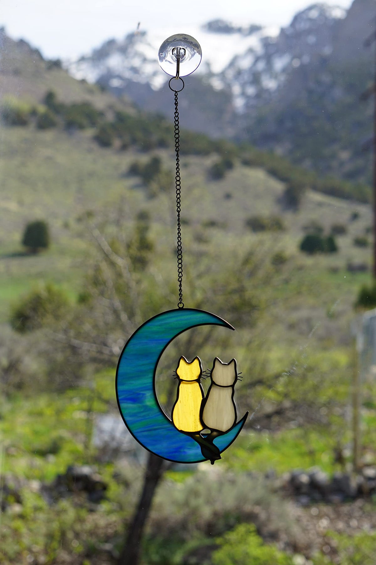 Perfect gift for cat lovers seeking colorful, timeless decor