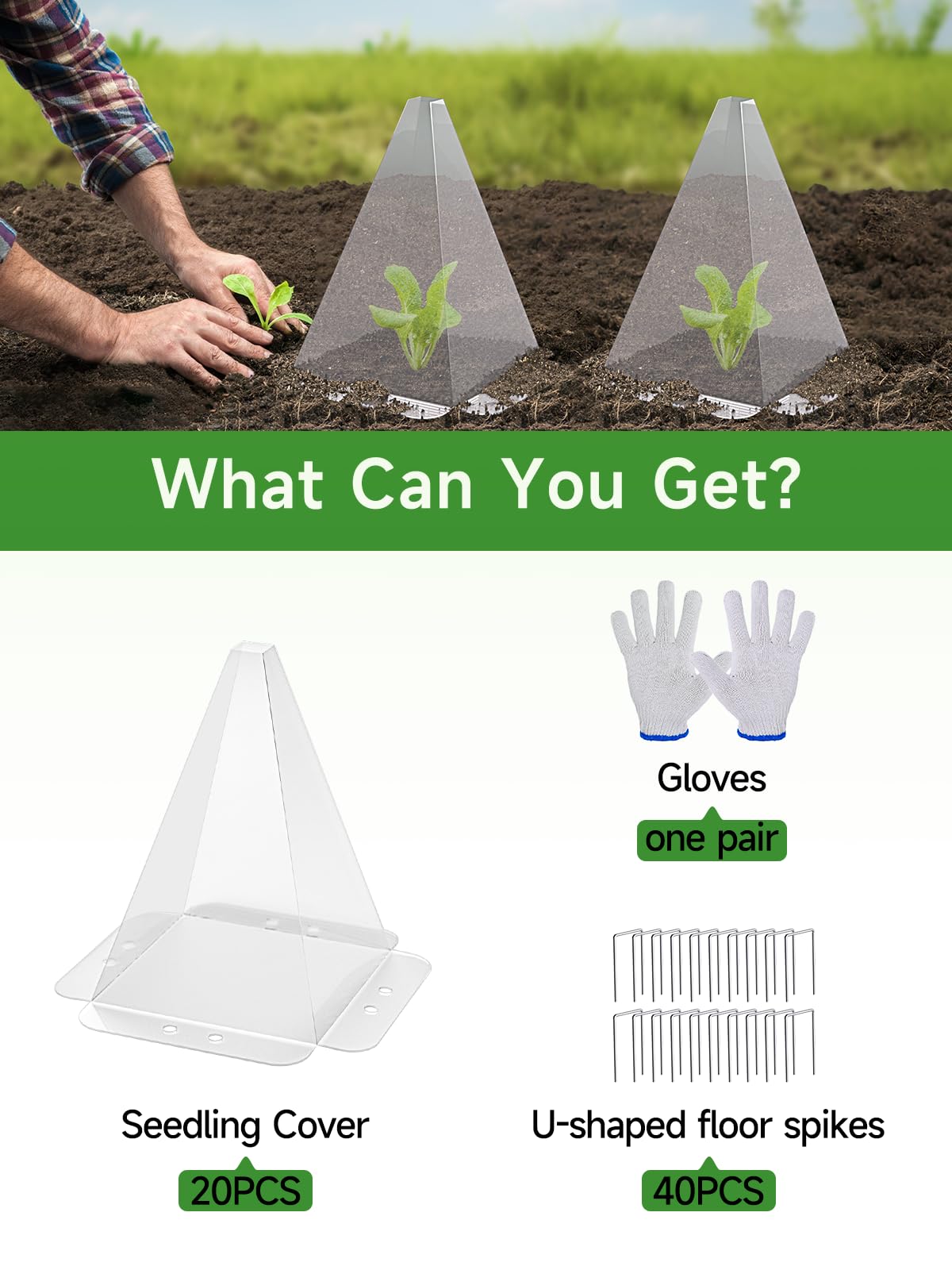 Senwell-Ka seedling dome creates a mini greenhouse effect for tender transplants