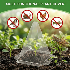 Senwell-Ka clear PET material lets sunlight reach seedlings clearly