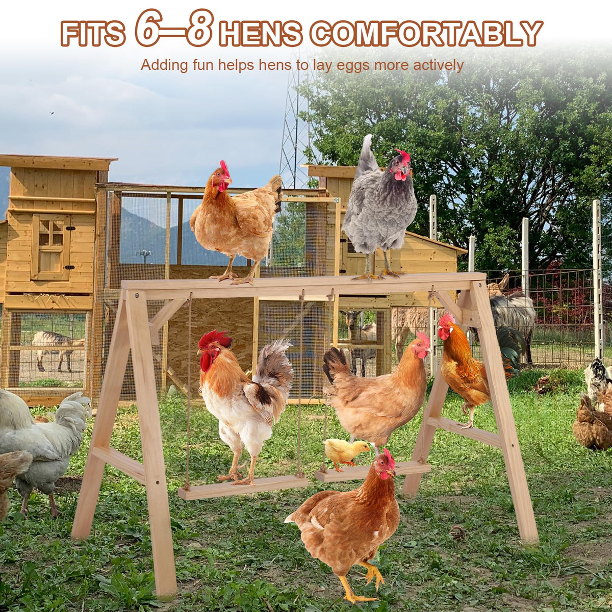Chickens enjoy swinging on SENXILLER roost bars for enrichment.
