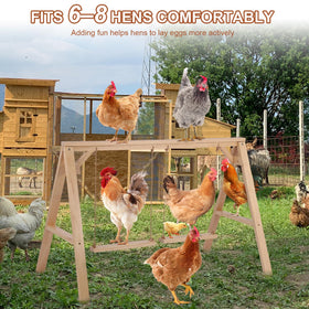 Chickens enjoy swinging on SENXILLER roost bars for enrichment.