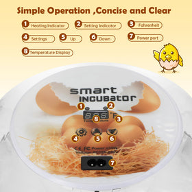 SENXINGYAN digital temperature and humidity display for real-time monitoring