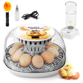 SENXINGYAN egg incubator 360° view window for easy monitoring of eggs