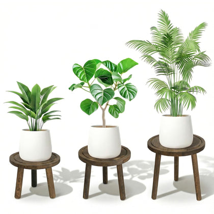 SEQUEDA wood plant stand elevates a fiddle leaf fig in a living room.