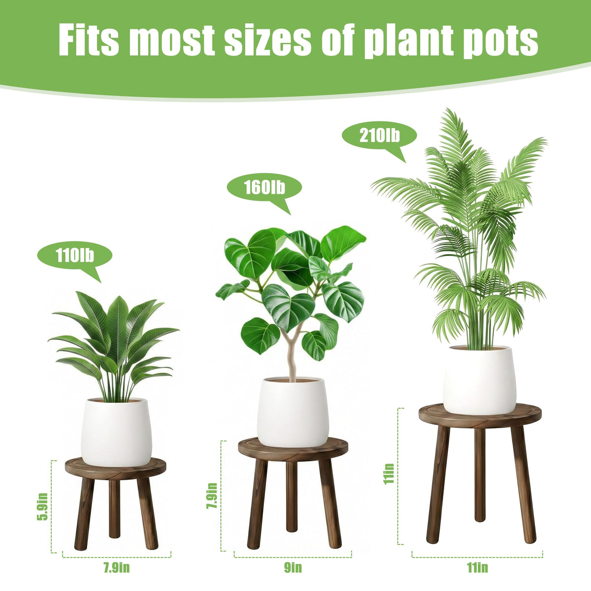 SEQUEDA wood plant stand pairs with a small succulent display.