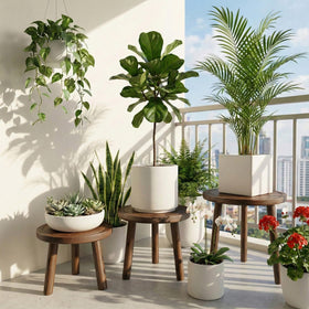 SEQUEDA wood plant stand displays herbs on a bright kitchen counter.