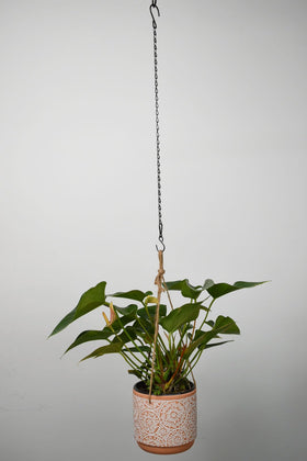 Sersberg black finish chains enhance indoor décor