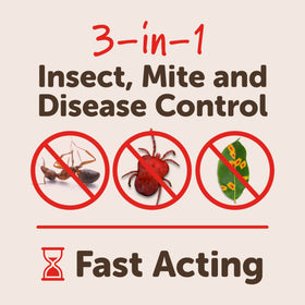 Sevin 3-in-1 RTS on roses and borders kills aphids on contact.