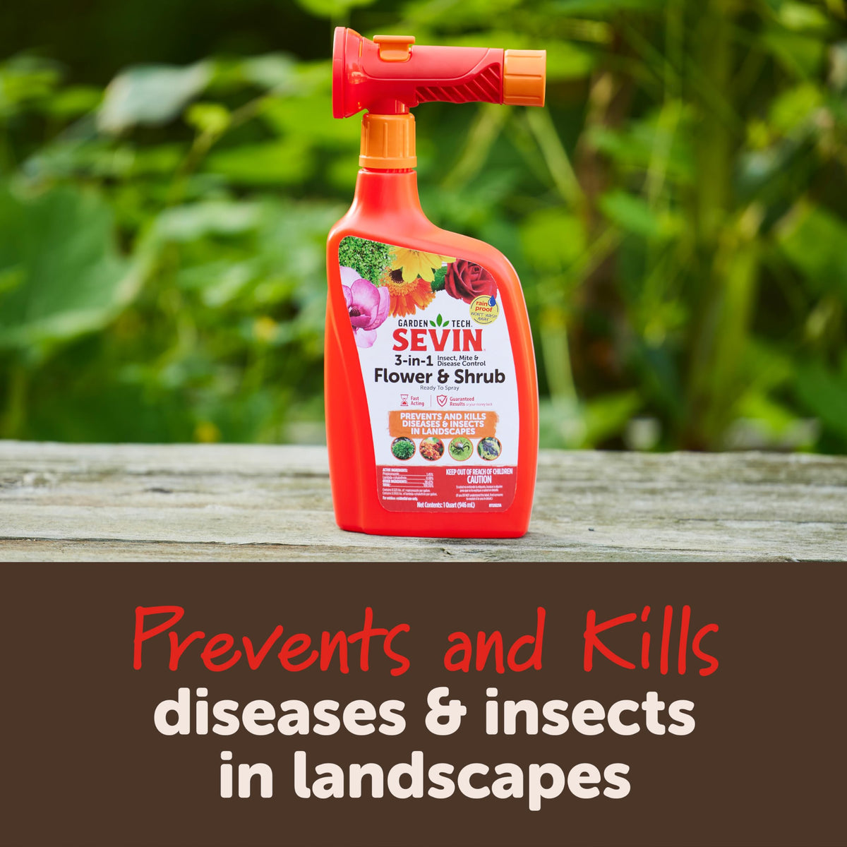 Sevin 3-in-1 RTS spray applied on shrubs protects against rust and mildew.
