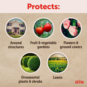 Sevin protects roses and ornamentals while preserving blooms color.