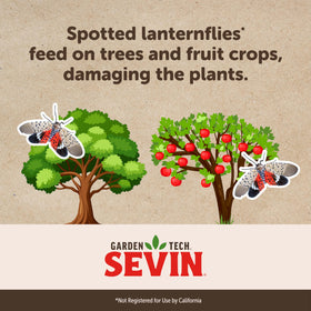 Sevin concentrate being sprayed to protect garden beds from common pests.