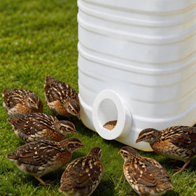 Sevomie accessories fit a wide range of DIY feeders.