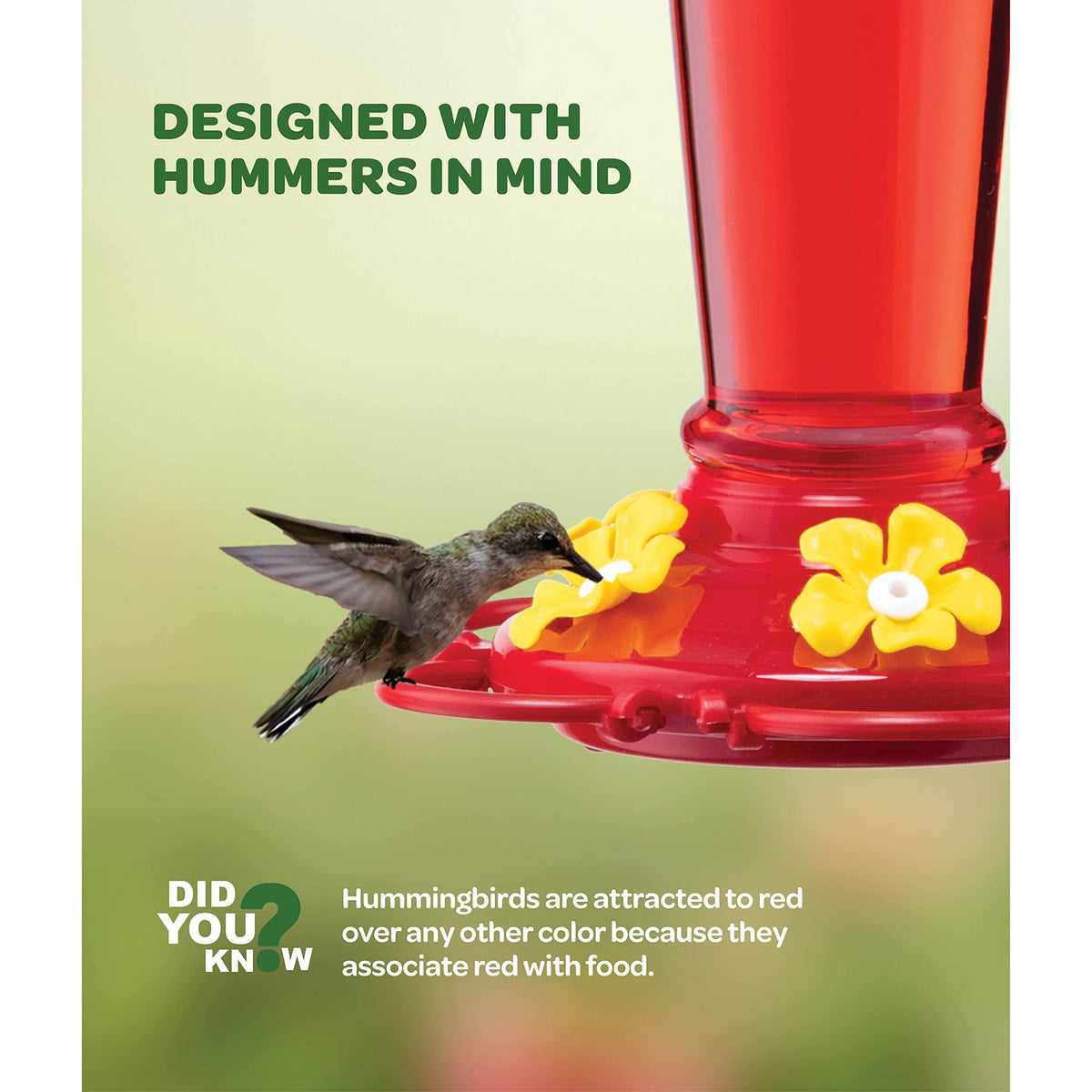 SEWANTA hummingbird feeder with 5-port circular perch supports several birds