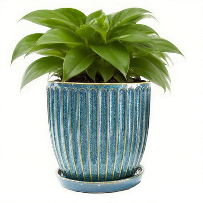 Seworlan 6-inch blue glazed pot front view for stylish indoor display