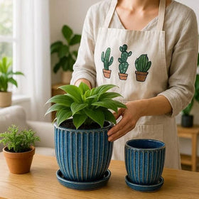 Seworlan indoor tabletop setup with blue glazed plant pot