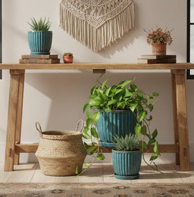 Seworlan 6-inch blue glazed pot with succulent plant example