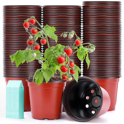 Sfee 4-inch nursery pot with drainage holes for healthy roots.